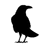 Crow Logo